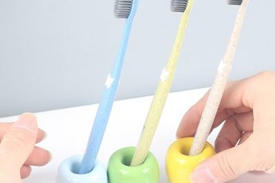 Biodegradable wheat crop straw toothbrush (2)