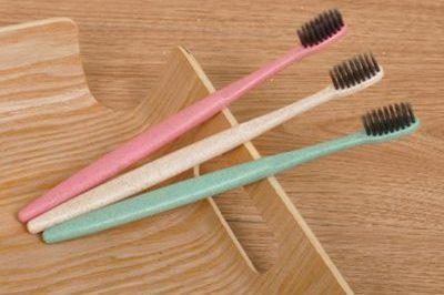Eco-friendly wheat straw toothbrush (2)